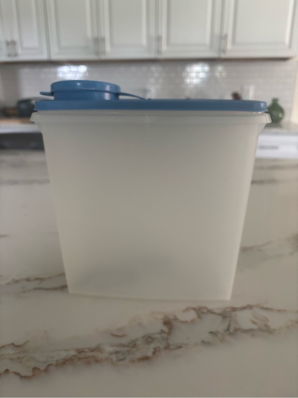 Blue Lid Food Storage Container - Versatile Kitchen Storage Tubberware